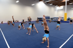 Gymnastics Team Handstand Practice